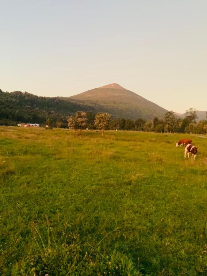 Cabana Del Campo Hornopiren Exteriér fotografie